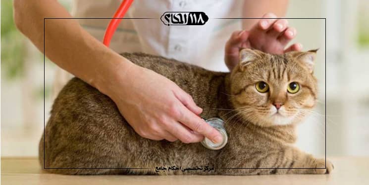 حکم شرعی درمان و دریافت هزینه در قبال معالجه ی حیوانات خانگی توسط دامپزشک