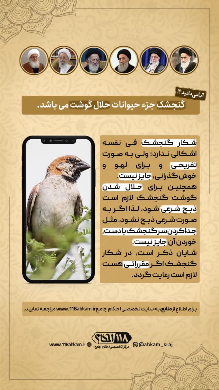 حکم شرعی خوردن گوشت گنجشک و شکار آن " به مناسبت ۲۰ مارس، روز جهانی گنجشک ها "