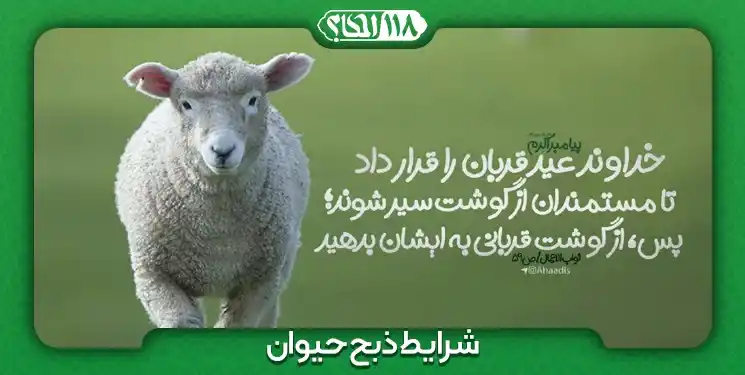 شرایط ذبح حیوان ” به مناسبت ۱۰ ذی الحجه الحرام ، روز عید قربان “