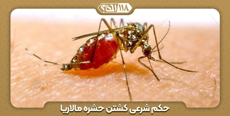 حکم شرعی کشتن حشره مالاریا " به مناسبت ۲۵ آوریل ، روز جهانی مالاریا "
