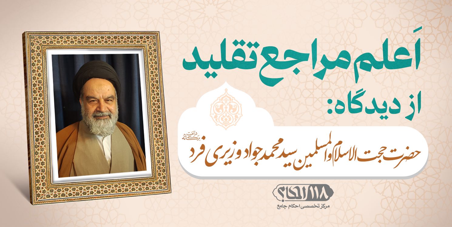 حضرت حجت الاسلام والمسلمین سید محمد جواد وزیری فرد