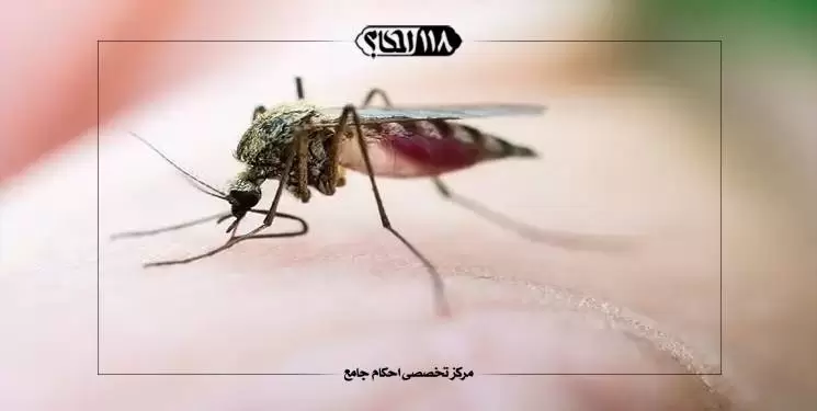 حکم شرعی خون پشه