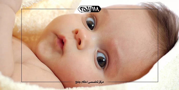 شیردادن