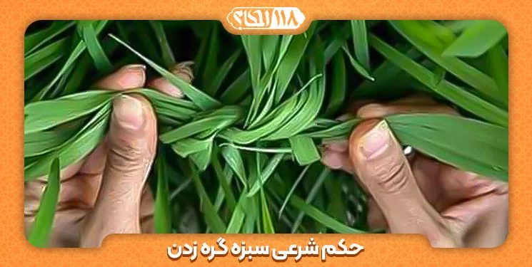 حکم شرعی سبزه گره زدن " به مناسبت ۱۳ فروردین، روز طبیعت "