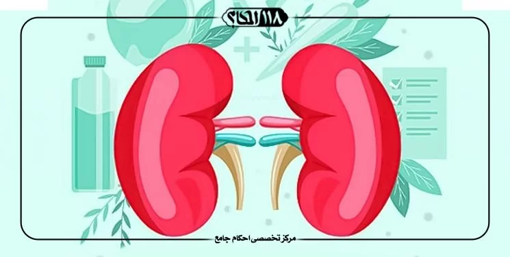 وظیفه ی افراد مسلوس
